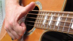 Read more about the article Best Acoustic Bass Guitars under $500