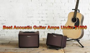 Read more about the article Best Acoustic Guitar Amps under 1000