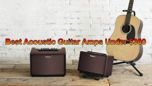 Read more about the article Best Acoustic Guitar Amps under 300